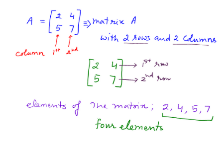 Types Of Matrices: Examples Of Matrices Types For The Beginner