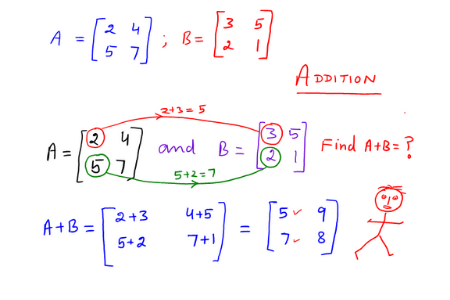 Basics of Matrices: An Introduction for the Matrix Beginner