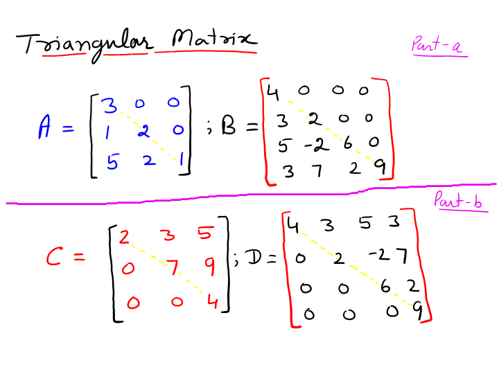 Types Of Matrices Examples Of Matrices Types For The - vrogue.co