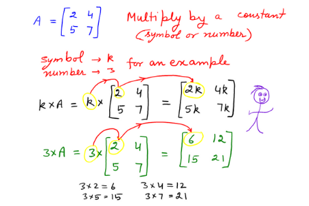 Basics of Matrices: An Introduction for the Matrix Beginner