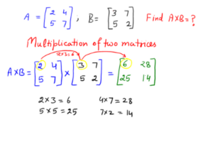 Basics of Matrices: An Introduction for the Matrix Beginner